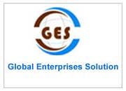 Global Enterprises Solution raipur