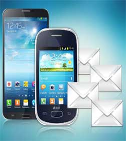 Enterprise SMS Solution