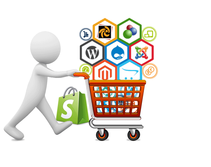 E Commerce Website 